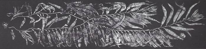 10-18-21-gyotaku-art_original.jpg